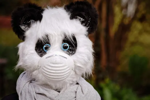 Stay Casino Assistance